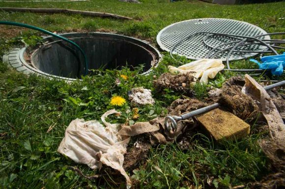 Installer un jardin d’assainissement pour les eaux usées